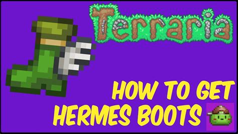 cant find hermes boots terraria|Terraria Hermes boots crafting tree.